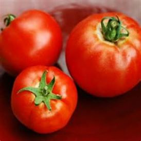 Ultra Girl Tomato Product Image