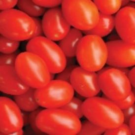 Red Grape Tomato - Patio Pot Product Image