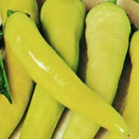 Hungarian Yellow  Wax Hot Peppers Product Image