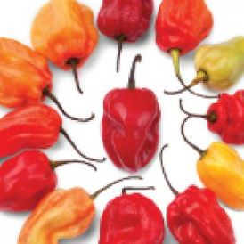 Carribean Red Hot Pepper Product Image
