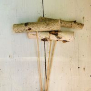 Birch Poles on Stems Product Image