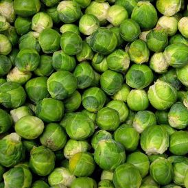 Brussel Sprouts - Long Island Greens Product Image