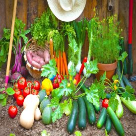 Vegetables, Fruit and Produce Category Image