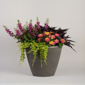 Patio Pots Category Image