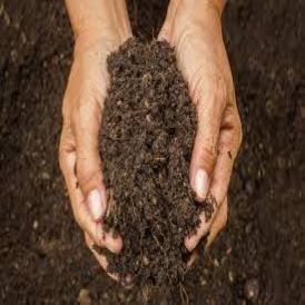 Soils & Manures Category Image