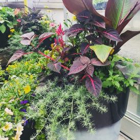 Custom Planter Category Image