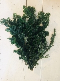 Silver Fir Bundle Product Image