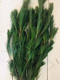 White Pine Bundle Product Image