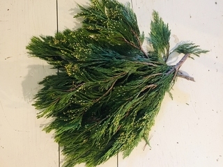 Incense Cedar Product Image